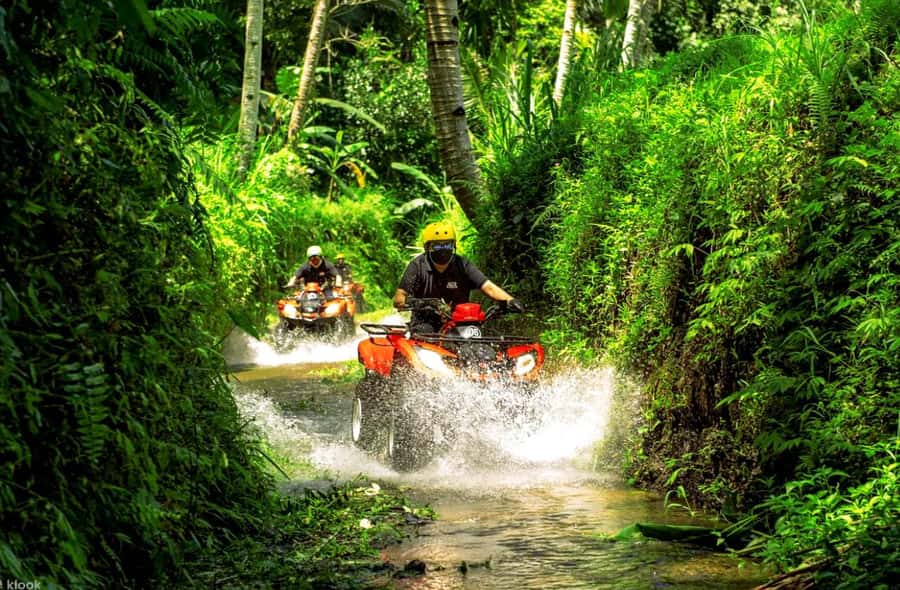 Bali: Thrilling Ultimate ATV Quad Bike Adventure - Who This Fits Best (and Who Should Think Twice)
