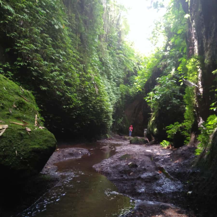 Bali: Tibumana, Tukad Cepung, Kanto Lampo, & Tegenungan Tour - Four Waterfalls, One Smooth Eastern Bali Route
