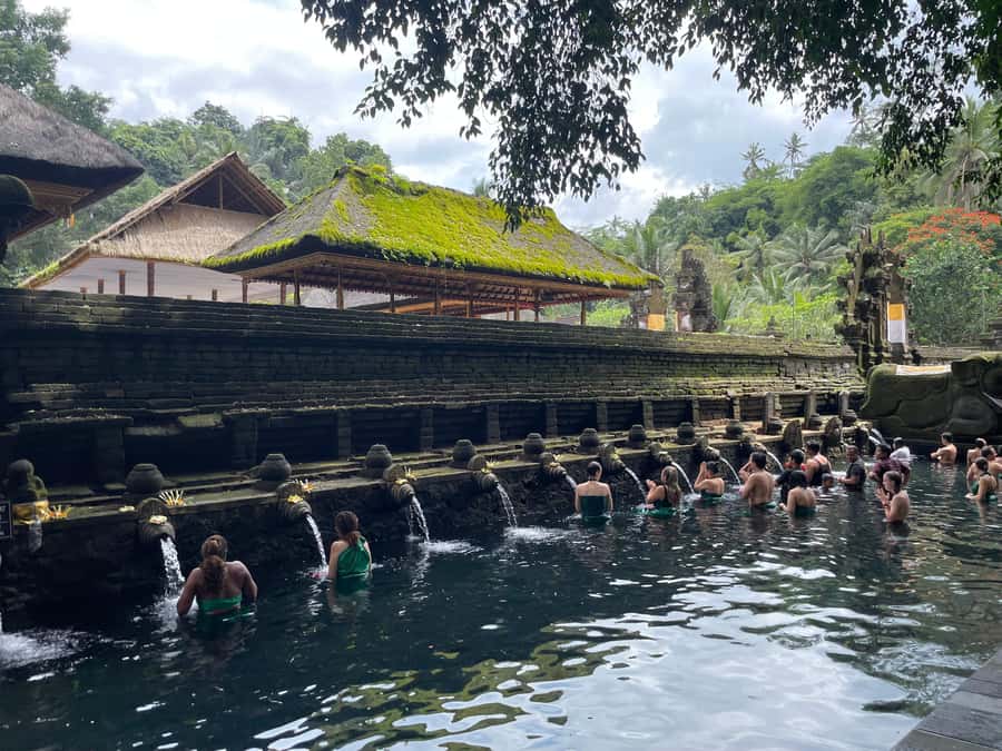 Bali: Tirta empul Temple, Rice terrace and Waterfall - Getting around Ubud with a private guide (and real help)