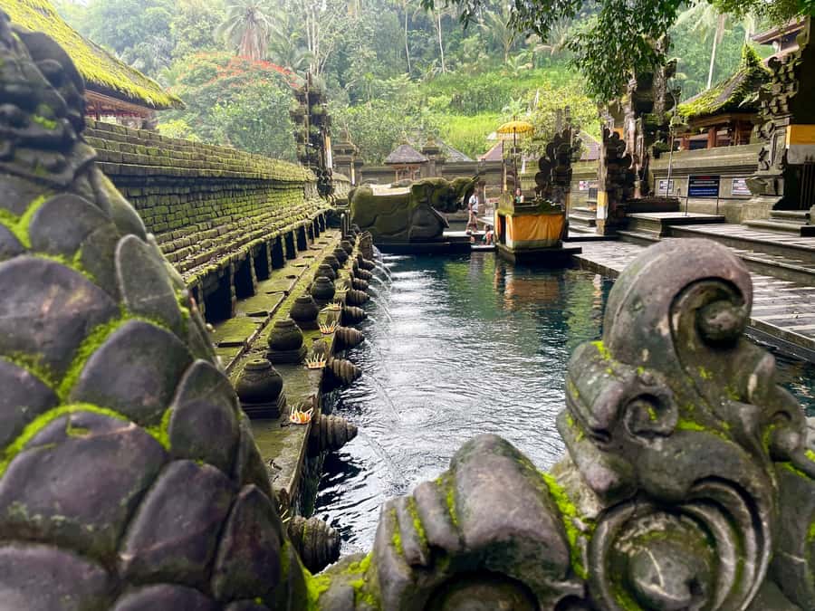 Bali: Tirta empul Temple, Rice terrace and Waterfall - Tirta Empul Temple and holy water purification near Tampak Siring