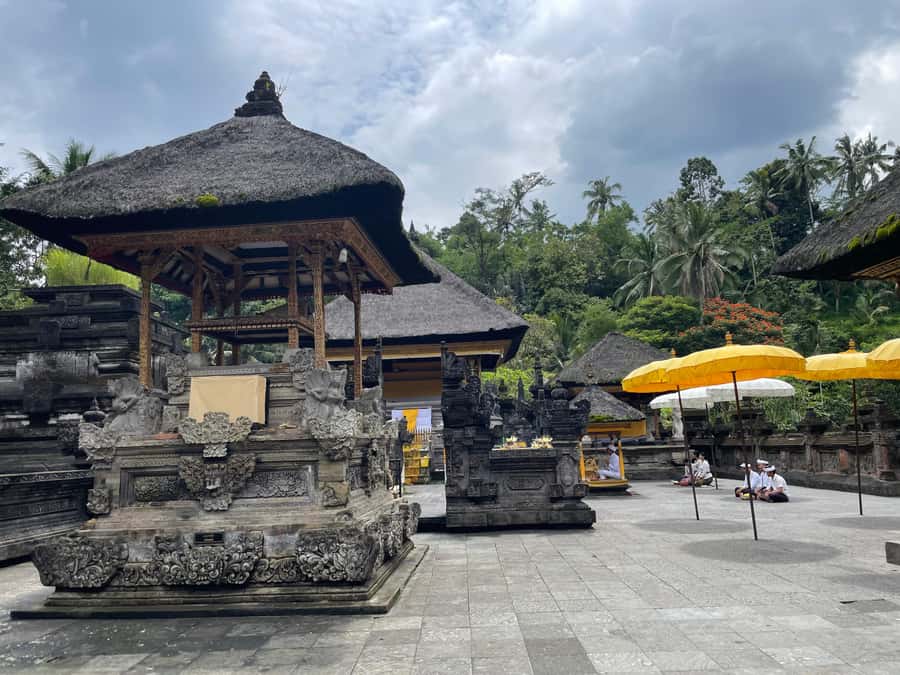 Bali: Tirta empul Temple, Rice terrace and Waterfall - Coffee plantation in Bali: traditional processing, not just a sales pitch