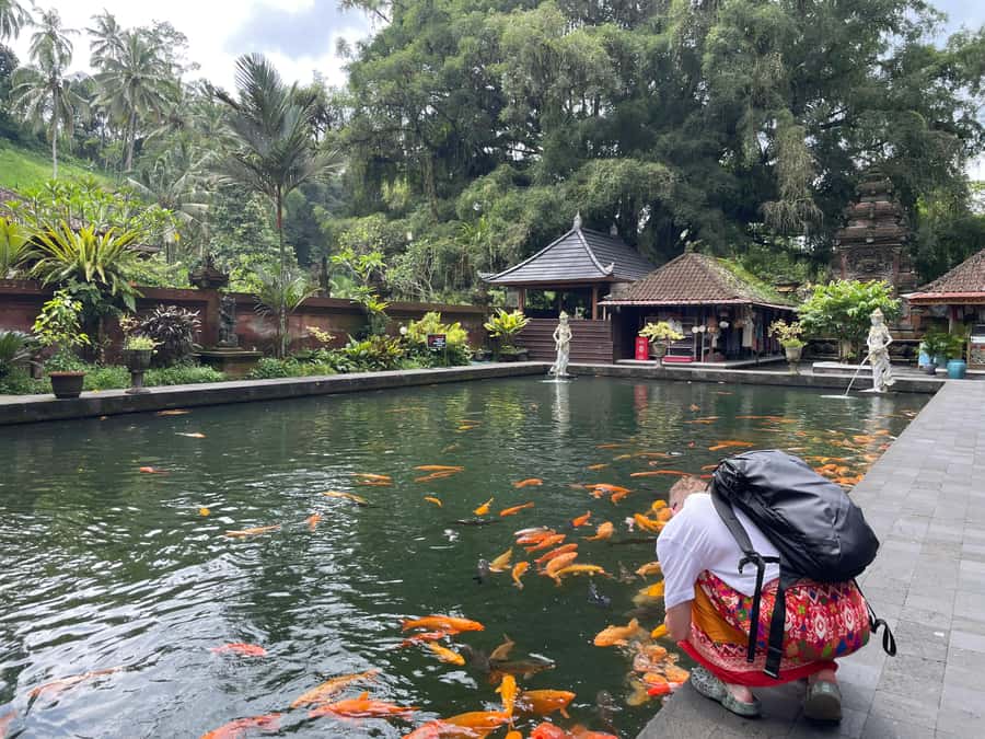 Bali: Tirta empul Temple, Rice terrace and Waterfall - Kanto Lampo Waterfall: dramatic photos plus local photographers