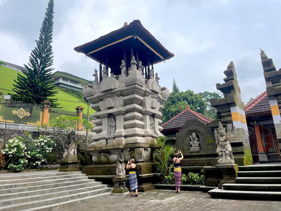 Bali: Tirta empul Temple, Rice terrace and Waterfall - Tegalalang Rice Terraces: the classic view, timed for a good experience