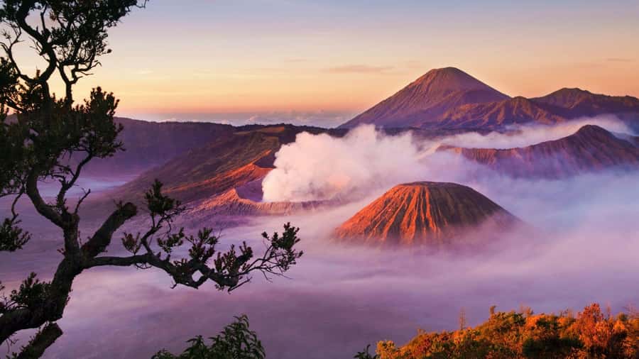 Bali to Yogya: Bromo, Ijen, Tumpak sewu, Prambanan,Borobudur - Mount Bromo sunrise by jeep: the view is the point