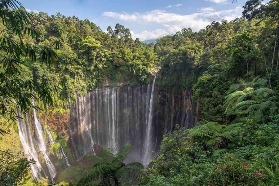 Bali to Yogya: Bromo, Ijen, Tumpak sewu, Prambanan,Borobudur - Should you book this Bali-to-Java Java highlights route?