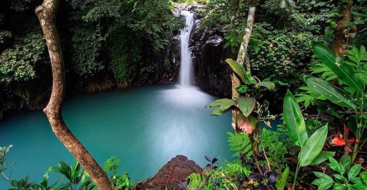 Bali: Top Highlights Private Full-Day Tour from Hotel - Who this tour suits best (and who should adjust the plan)