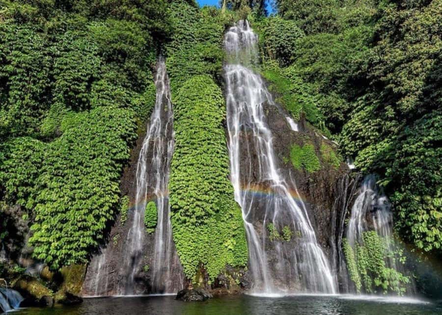 Bali: Top Highlights Private Full-Day Tour from Hotel - A private full-day Bali loop that makes sense (and saves stress)