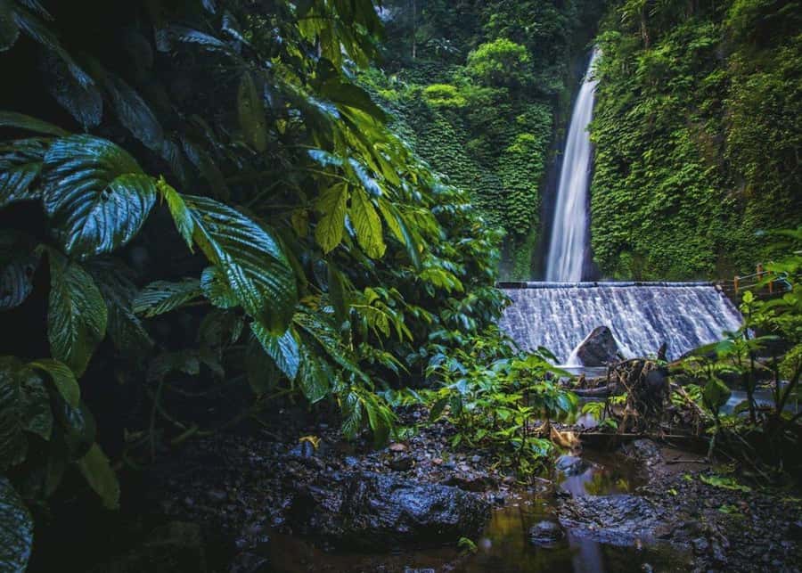 Bali: Top Highlights Private Full-Day Tour from Hotel - Tegenungan Waterfall: the photo stop that needs smart timing