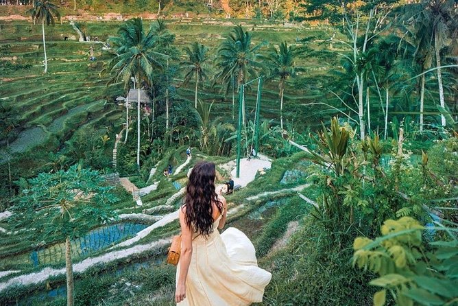 Bali Tour : Best Attractions in Ubud with Rice Terrace - Ubud in a Single Day: What This Route Really Covers
