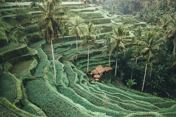Bali Tour Customized With Local Guide - What’s Included for $100 (and What You’ll Pay Separately)