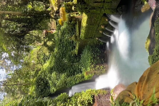 Bali Tour Driver - Puseh Batuan Temple: what to notice beyond the photos