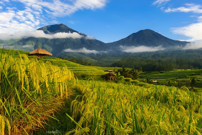 Bali Tour: Lake, Iconic Gate, Temple, Hot Spring and Rice Terrace - Quick Takeaways