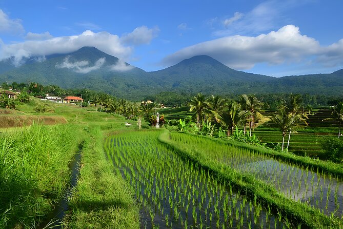 Bali Tour: Lake, Iconic Gate, Temple, Hot Spring and Rice Terrace - Tanah Lot: Ocean Outcrop, Temple Icon, Sunset Energy