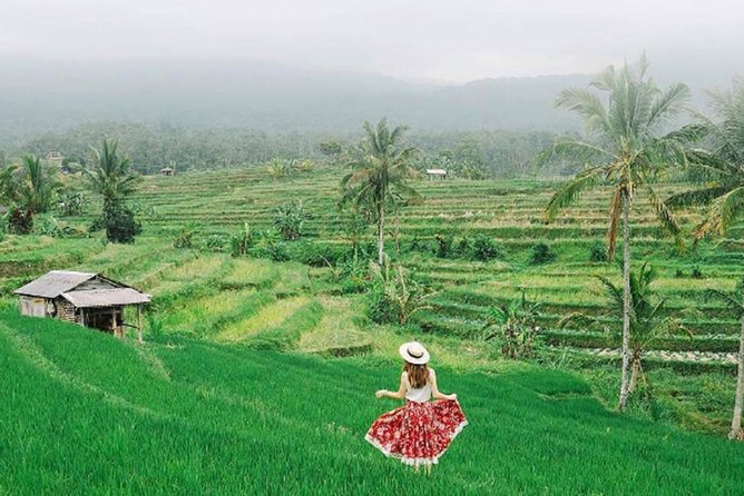Bali Tour Package 9 Days 8 Nights - Day 5: Barong mythology, Ubud art, and Tegenungan waterfall