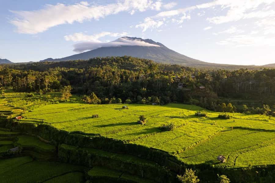 Bali: Traditional Villages, Salt Farm & Tirta Gangga Tour - Key Things I’d Plan Around