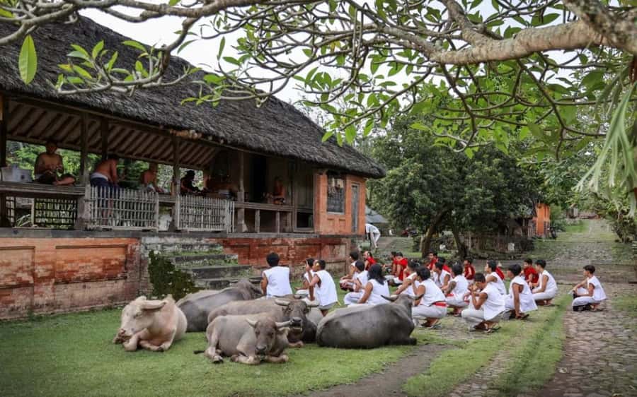 Bali: Traditional Villages, Salt Farm & Tirta Gangga Tour - East Bali in One Day: Why Sidemen and Tenganan Matter