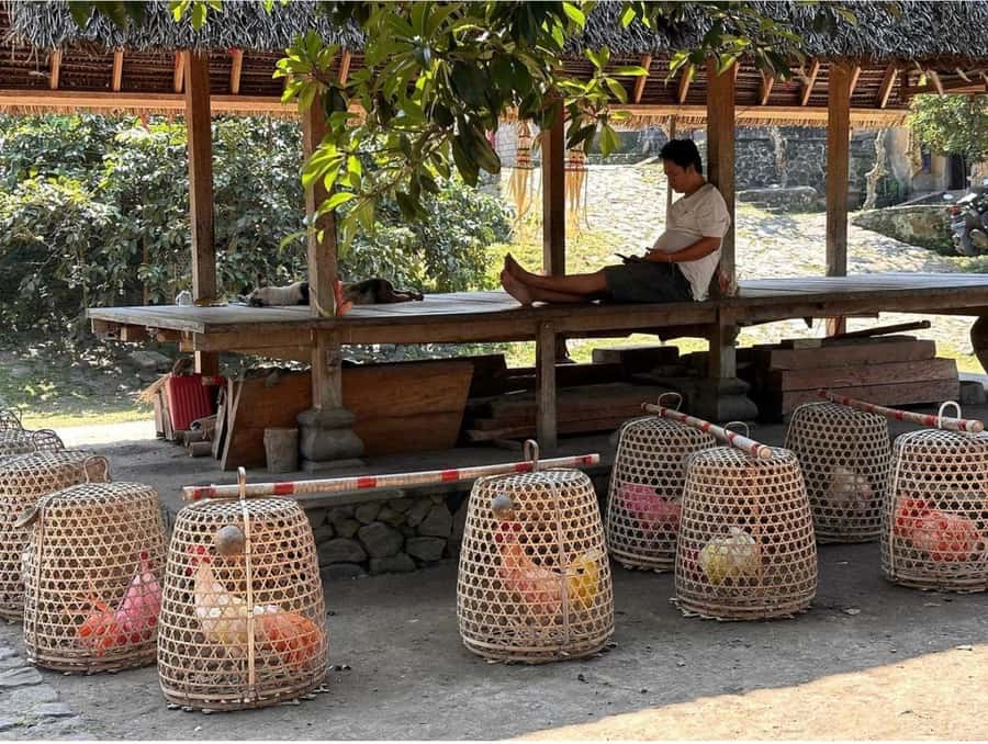 Bali: Traditional Villages, Salt Farm & Tirta Gangga Tour - Sidemen Village Walk: 45 Minutes of Everyday Culture