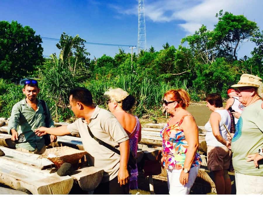 Bali: Traditional Villages, Salt Farm & Tirta Gangga Tour - Tenganan Village Customs: Ancient Traditions Still in Use