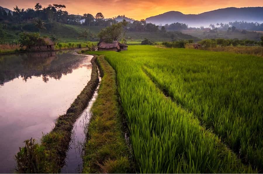 Bali: Traditional Villages, Salt Farm & Tirta Gangga Tour - Candidasa Beach Lunch Views: How the Meal Fits the Route