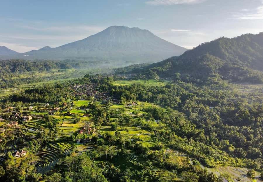 Bali: Traditional Villages, Salt Farm & Tirta Gangga Tour - Price and Value at About $34: What’s Included, What’s Optional