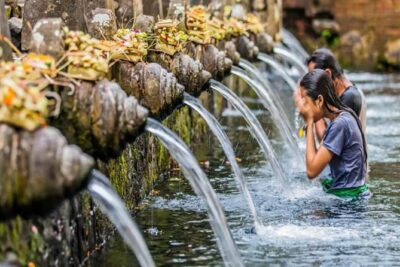 Bali Tribal Private Tour - Experience the best of Ubud, Bali - Door-to-door transport: fewer hassles, more daylight for photos