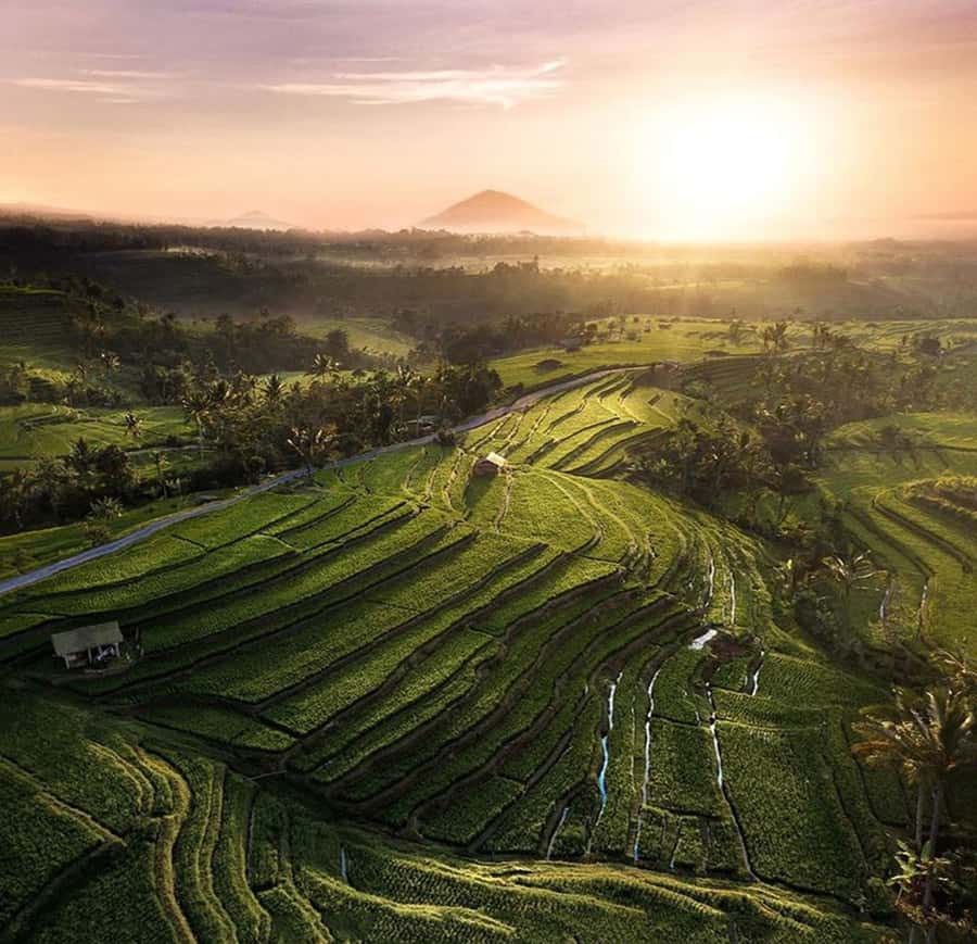 Bali: Trip to Tirta Gangga Palace and Tukad Cepung Waterfall - How This 9-Hour Route Feels On the Ground
