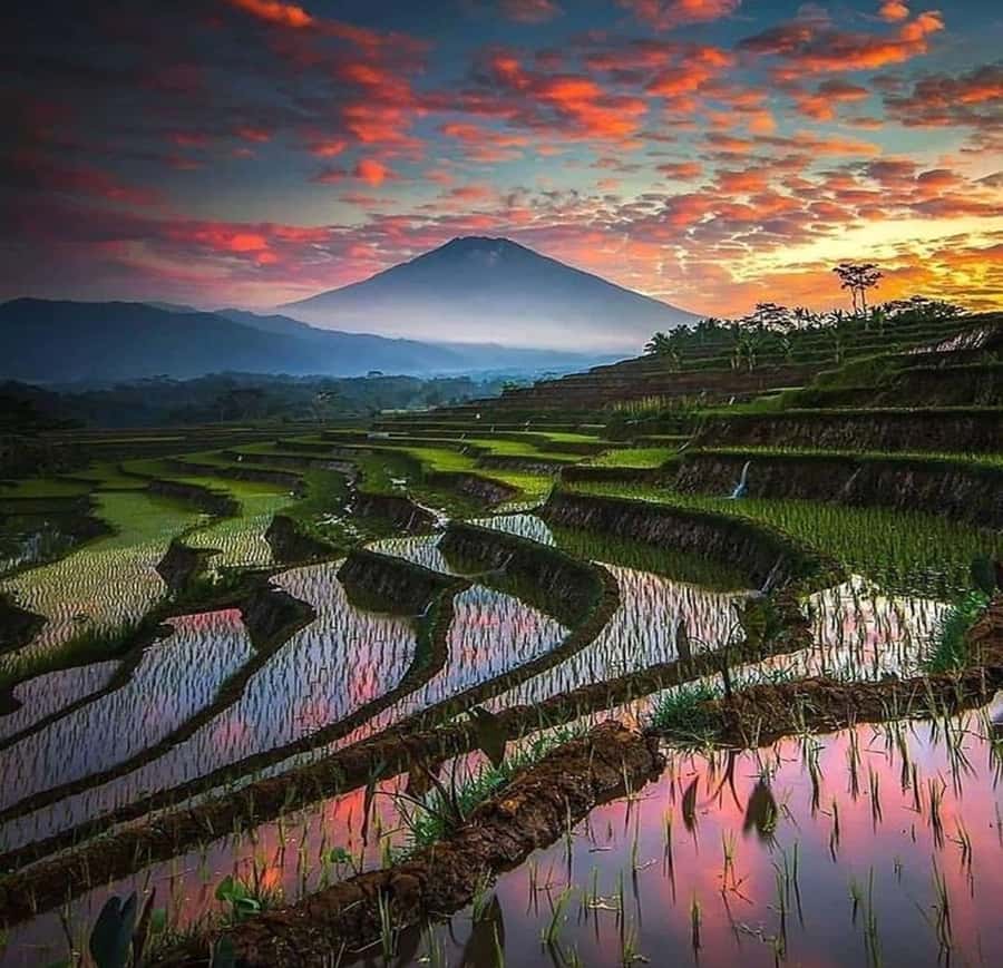 Bali: Trip to Tirta Gangga Palace and Tukad Cepung Waterfall - Abian Desa Rice Terraces: Subak Irrigation and a Photo-Walk Finale