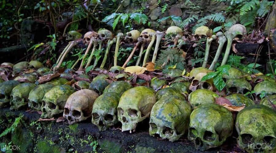 Bali: Trunyan Cemetery, Hot Springs, and Penglipuran Village - Key highlights worth paying attention to