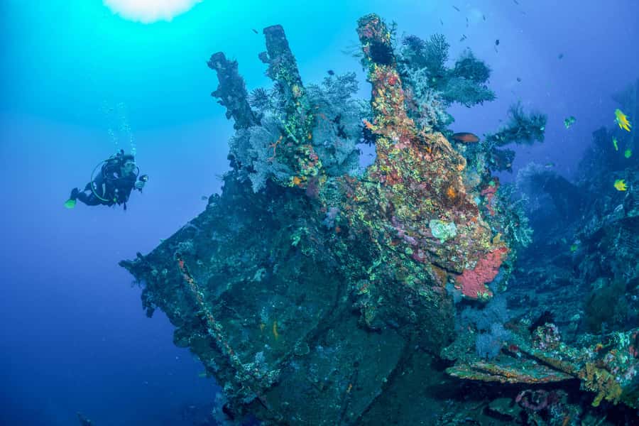 Bali: Tulamben Bay and the USAT Liberty Wreck Dive - Key highlights you’ll actually feel
