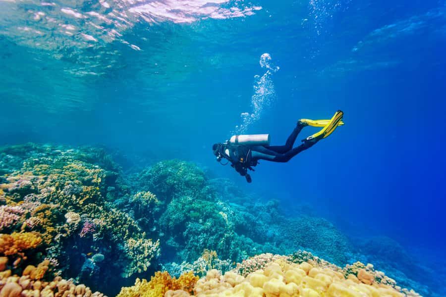 Bali: Tulamben Bay Beginner's Dive Experience - A 9-hour Tulamben Bay day built for calm first-timers