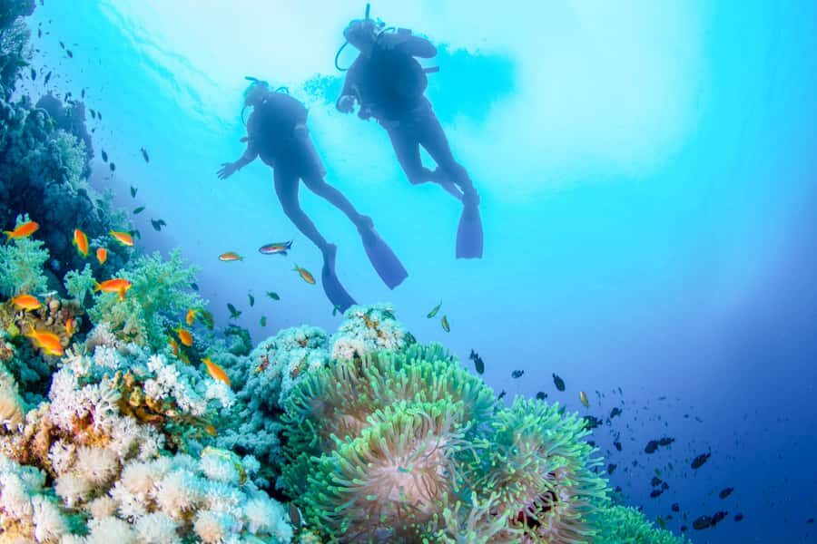 Bali: Tulamben Bay Beginner's Dive Experience - Hotel pickup and the real travel-time test