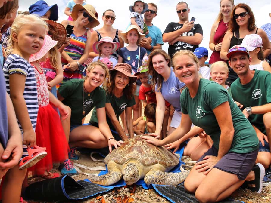 Bali: Turtle Conservation and Education Tour & Local Market - Pasar Badung in Denpasar: how to enjoy the market without losing your cool