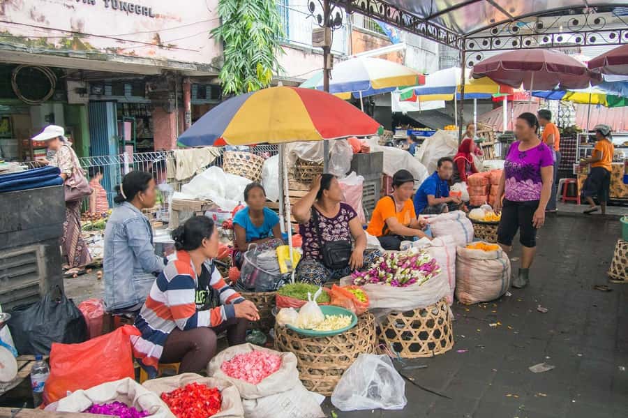 Bali: Turtle Conservation and Education Tour & Local Market - Price and what you’re really getting for $58 (private group)