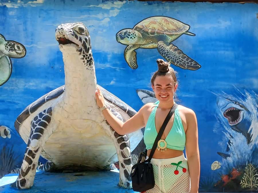 Bali: Turtle Conservation and Education Tour & Local Market - Making the schedule work: a simple game plan