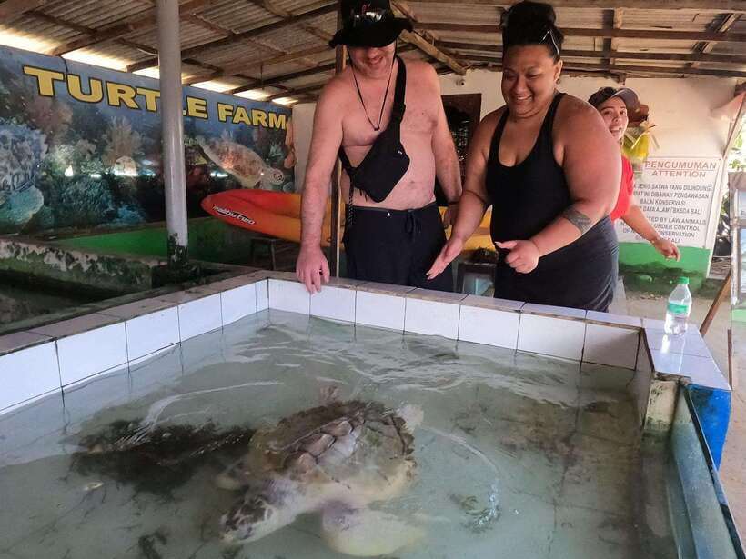 Bali : Turtle Conservation Center Tour option Release Turtle - Where turtle conservation meets real Bali sea-life