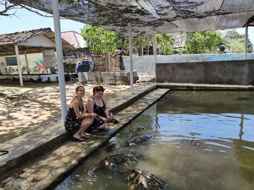 Bali : Turtle Conservation Center Tour option Release Turtle - Timing, stops, and what the 1.5–2 hours feels like
