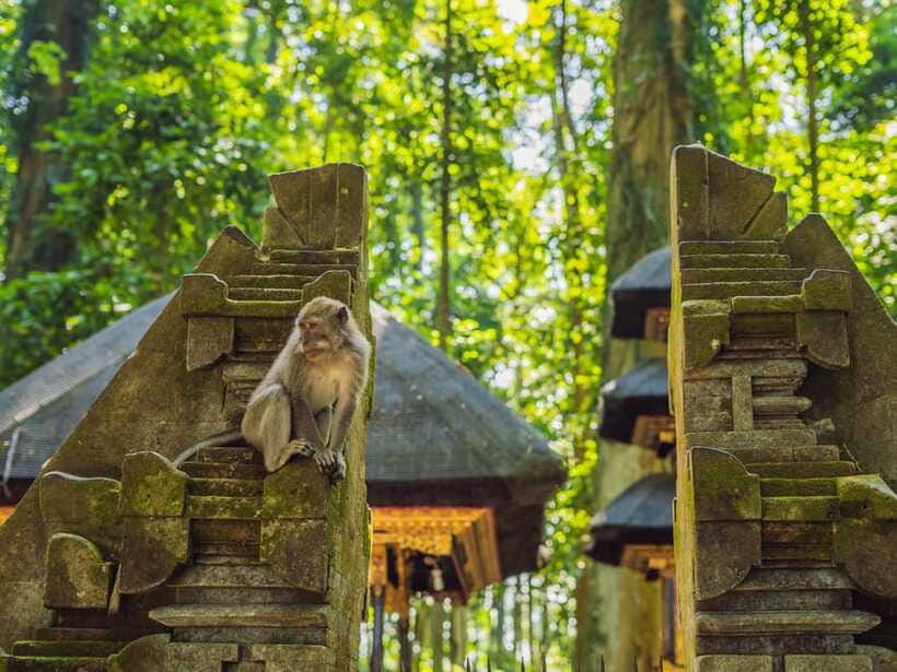 Bali: Ubud Adventure, Swing, Monkey Forest & Waterfall Tour. - ATV Adventure and the Adrenaline Factor: Fit It Around Your Energy