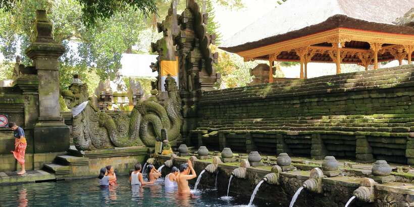 Bali: Ubud and Kintamani Viewpoint Opt. Swing & Buffet Lunch - Sacred Monkey Forest Sanctuary: up close with long-tailed macaques
