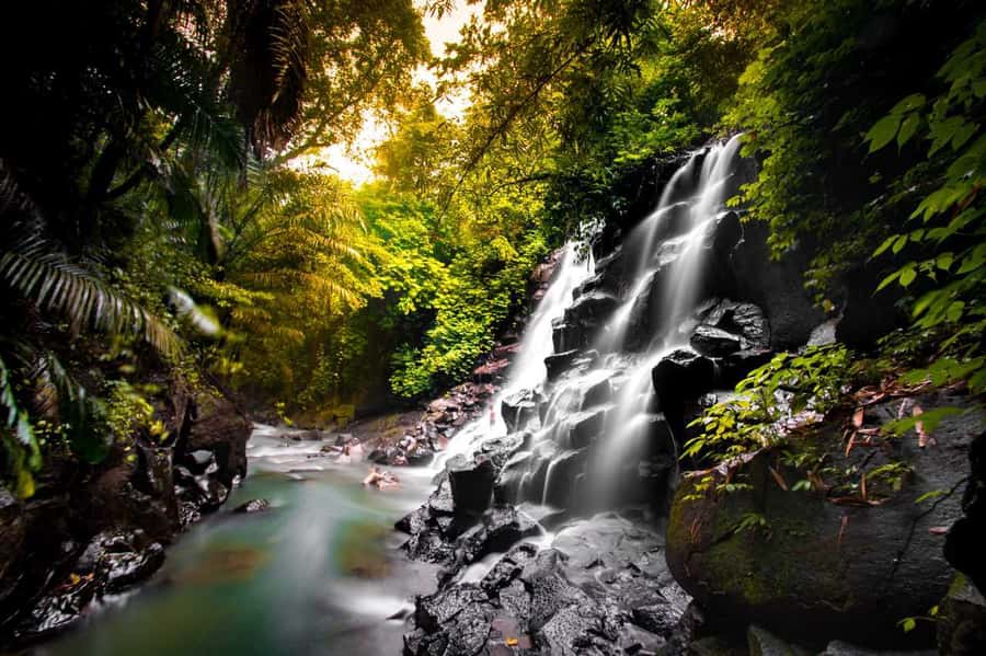Bali: Ubud and Tanah Lot Small Group Guided Tour - Quick Take: What Makes This Bali Day Work