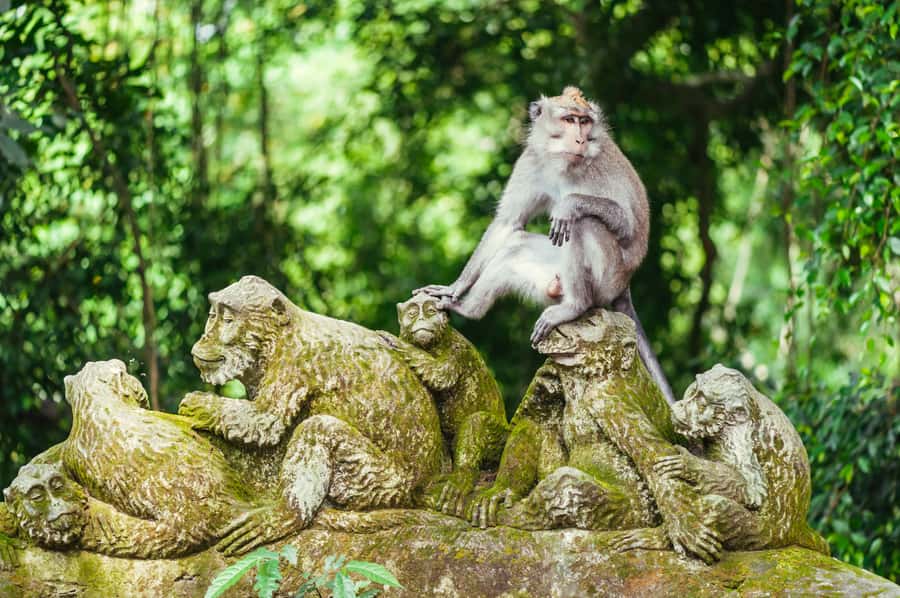 Bali: Ubud and Tanah Lot Small Group Guided Tour - Barong and Keris Dance: Culture First, Then Your Outdoor Stops