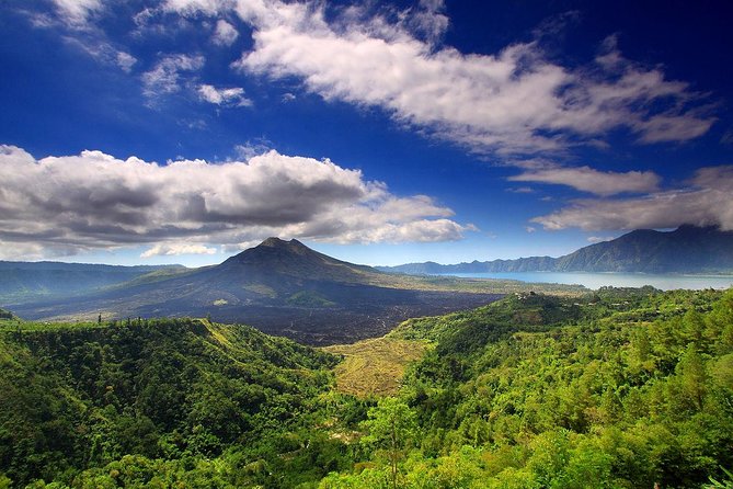 Bali Ubud and Volcano Day Tours - Price and Logistics: what you get for $51.29