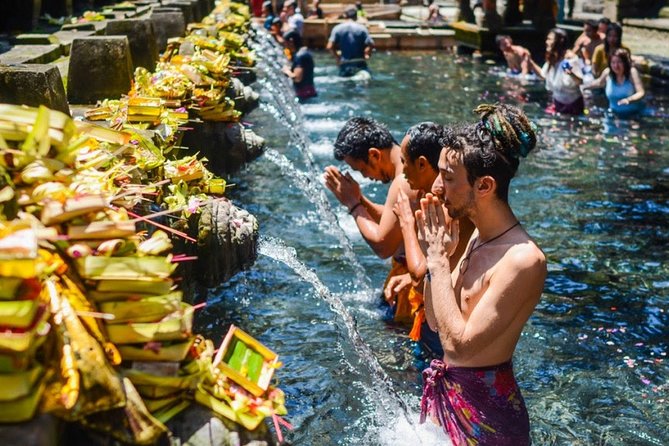 Bali Ubud and Volcano Day Tours - Sacred Monkey Forest Sanctuary: fun photos with a real-world caution