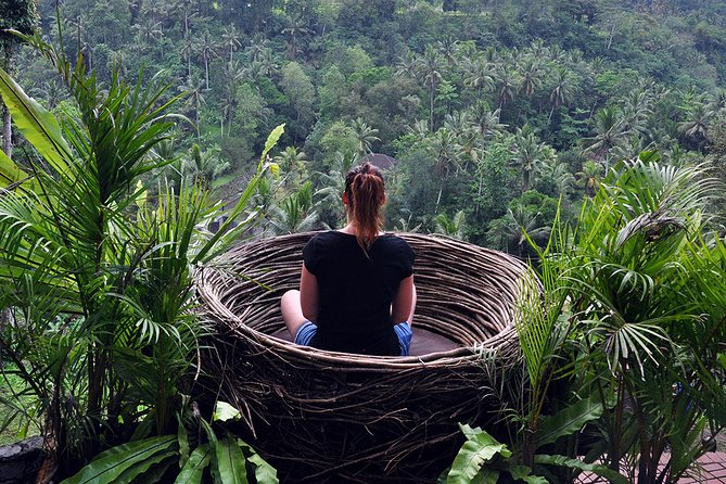 Bali Ubud and Volcano Day Tours - Satria Agrowisata coffee plantation and the Ubud arts market mix