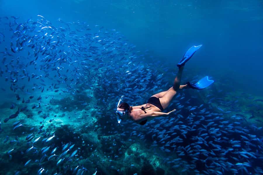 Bali: Ubud ATV and Blue Lagoon Snorkeling Tour with Lunch - Ubud ATV and Blue Lagoon Snorkeling: What the Combo Really Gives You