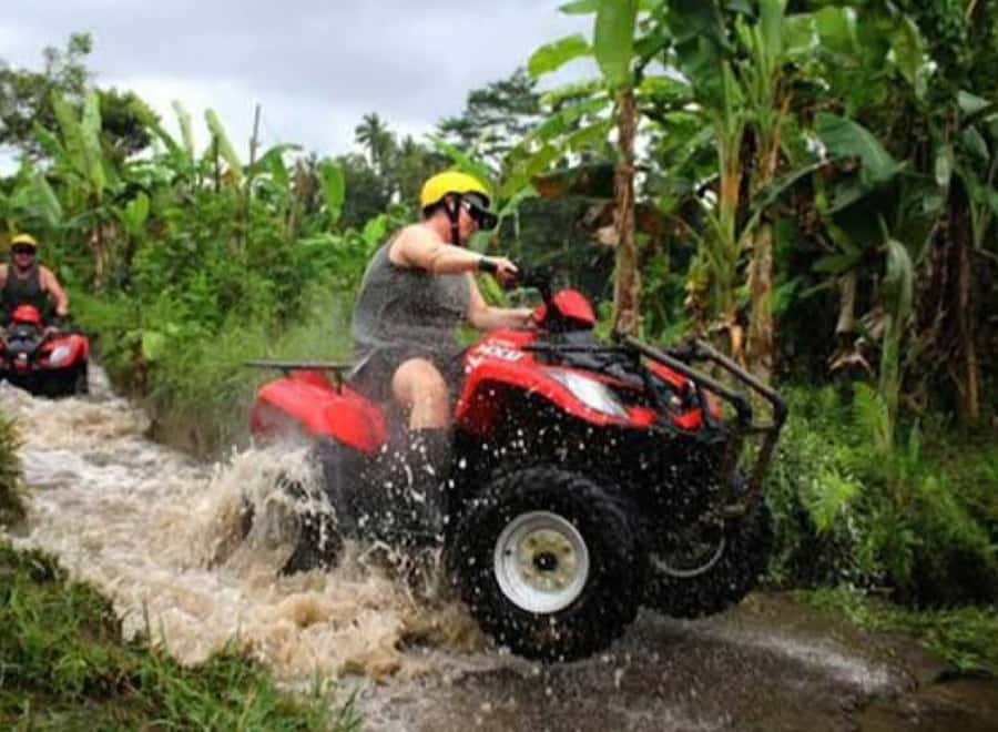 Bali: Ubud ATV and Blue Lagoon Snorkeling Tour with Lunch - Lunch and a Real Reset Before You Hit the Water