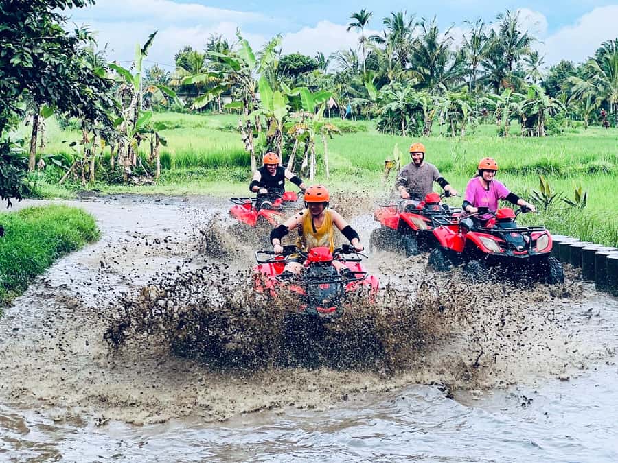 Bali: Ubud ATV Quad Bike, Jungle Swing with Meal - Ubud Giant Swing: how to get those valley-and-rice-paddy photos