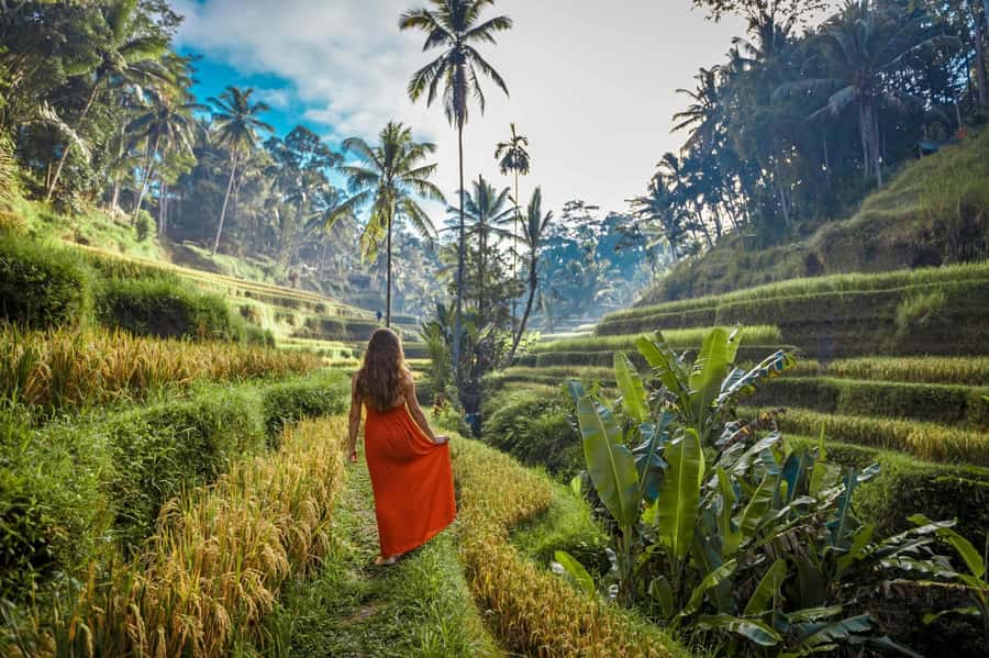 Bali: Ubud ATV Quad Bike, Jungle Swing with Meal - Who this tour fits best (and who should skip it)