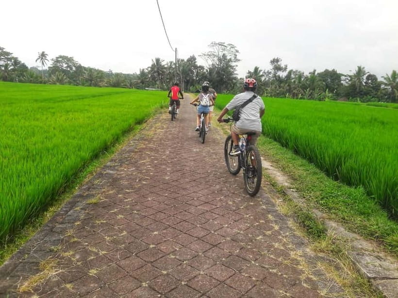 Bali: Ubud Country Side Cycling Tour with Lunch - Why Petang’s Rice-Field Cycling Feels More Like Real Bali