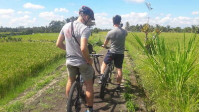 Bali: Ubud Country Side Cycling Tour with Lunch - What to Bring for a Comfortable Bali Bike Day