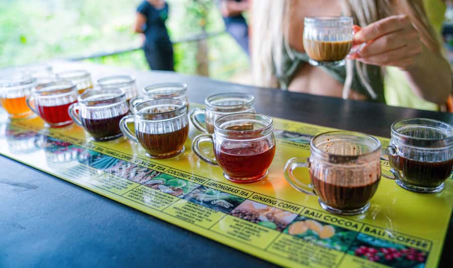 Bali: Ubud Culture Purification, Jungle Swing Tour - Satria Agrowisata break: tea, coffee tasting, and a stretch of breathing room